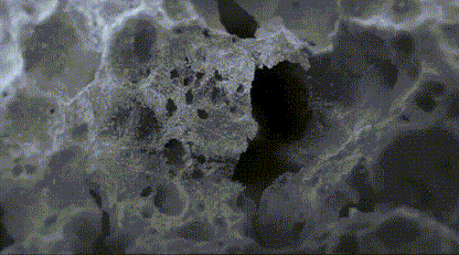 MagnetOs™ Granules